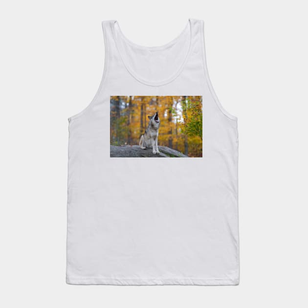 Timber Wolf Tank Top by Jim Cumming